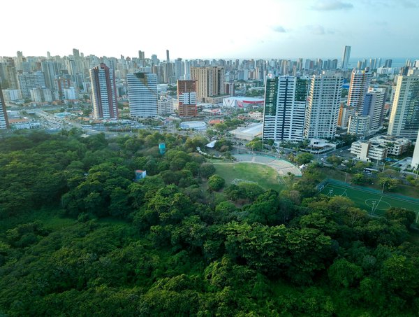 L'évolution de la culture urbaine à l'ère de la gentrification